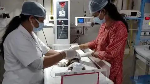Newborn Placed Alive in India Fights for Survival