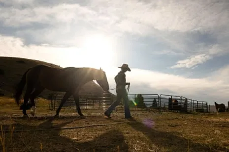 Meet the American Cowgirls Transforming Modern Ranching