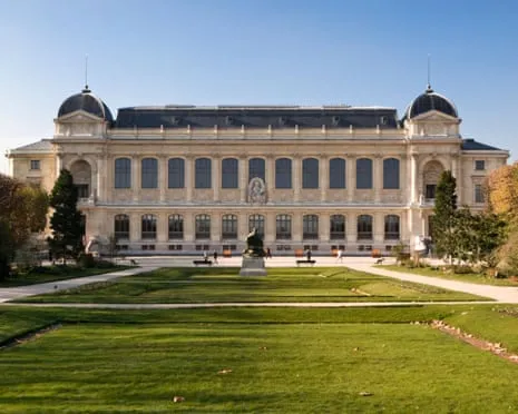 Invaluable Golden Samples Stolen in Audacious Heist at France's Natural History Museum