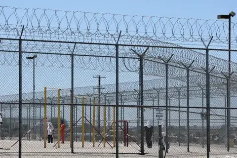 Punjabi Elderly Woman's Arrest by US Immigration Officials Ignites Community Outrage