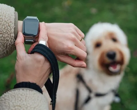 The Reality About Wearable Tech? Life Improves Lacking a Nagging Zealot on Your Arm